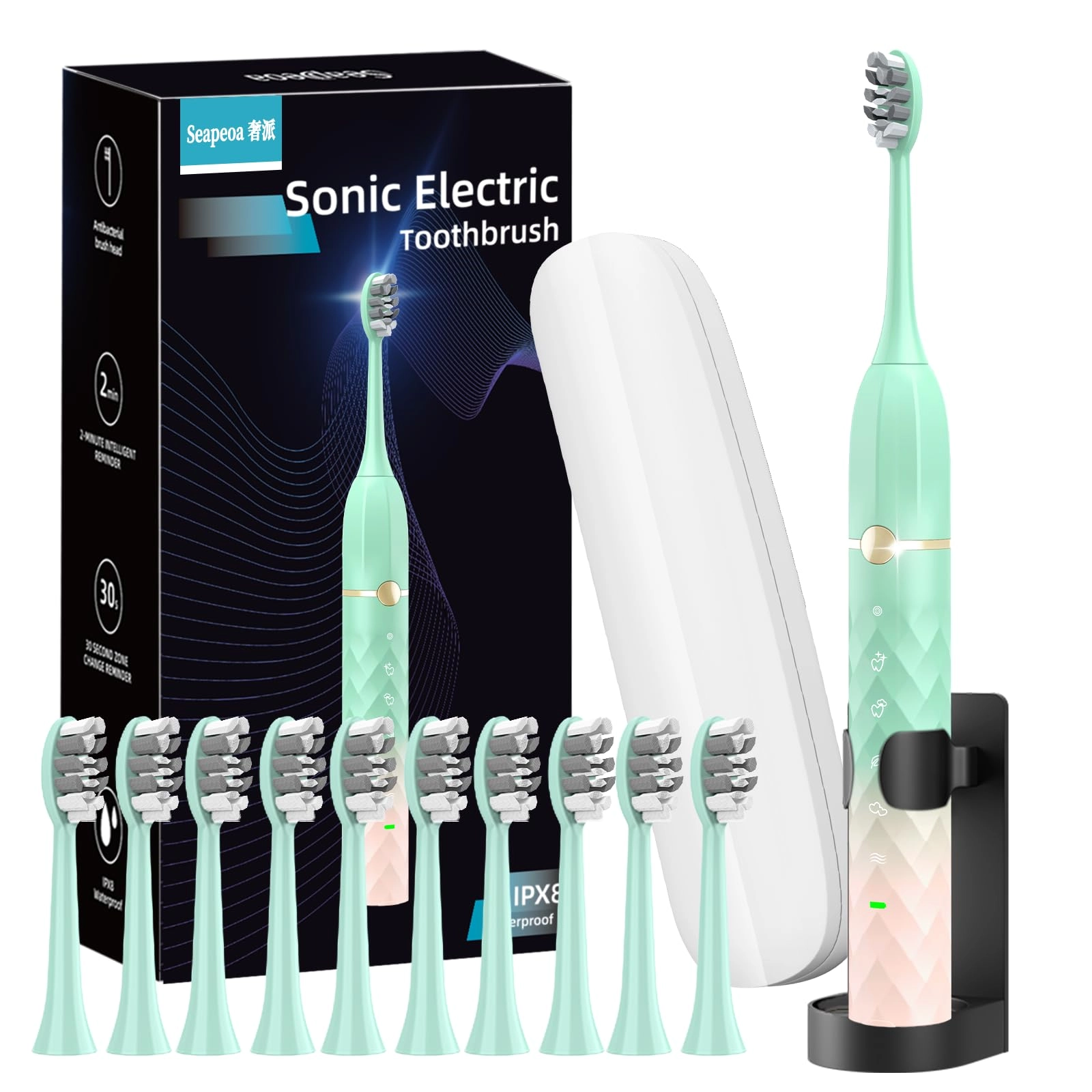 A6S - 10 Brush Heads 42,000 VPM