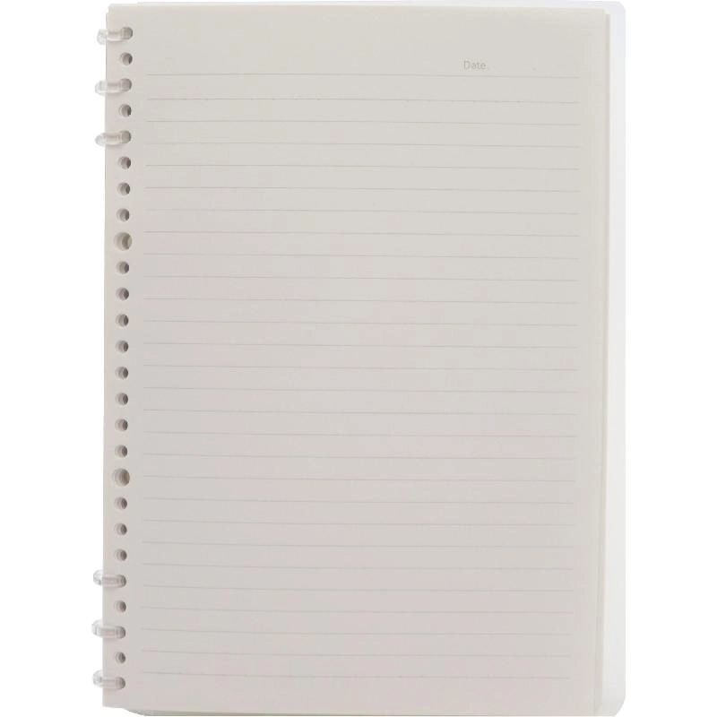Notebook 19 X 26 cm Spiral - Grid 100 Sheets