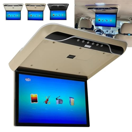 Roofmount LCD Monitor - 19in