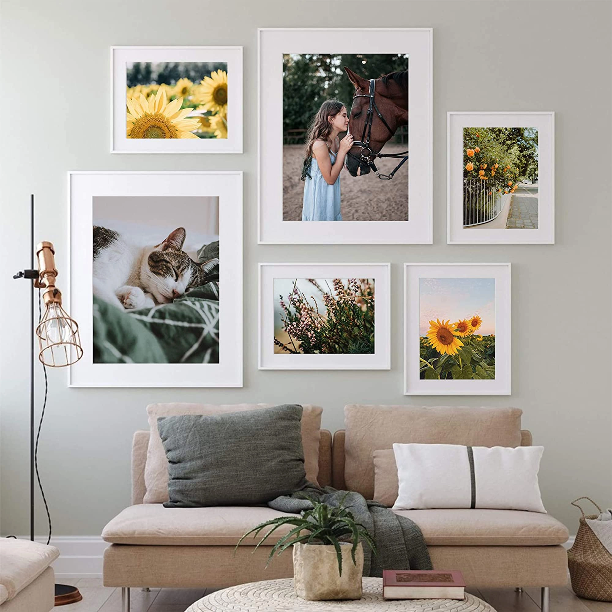 Picture Frame Set - 4x6