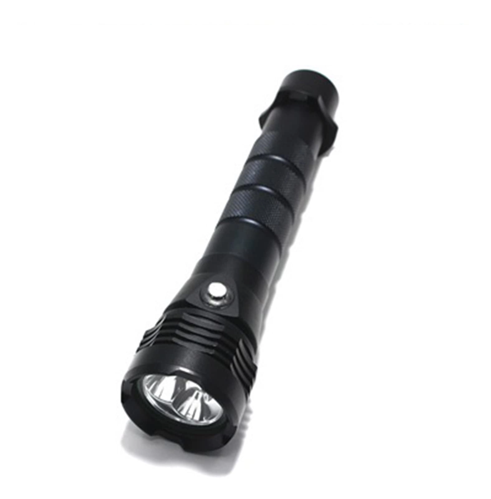 Professional Submersible Light