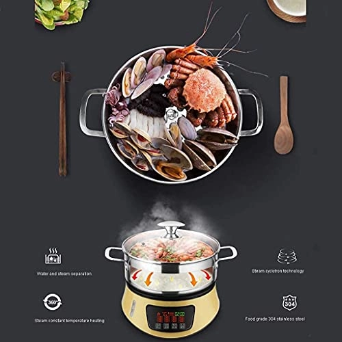 DoubleLayer Electric Food Steamer - 8L