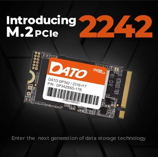DP342 - 1 TB M.2 2242