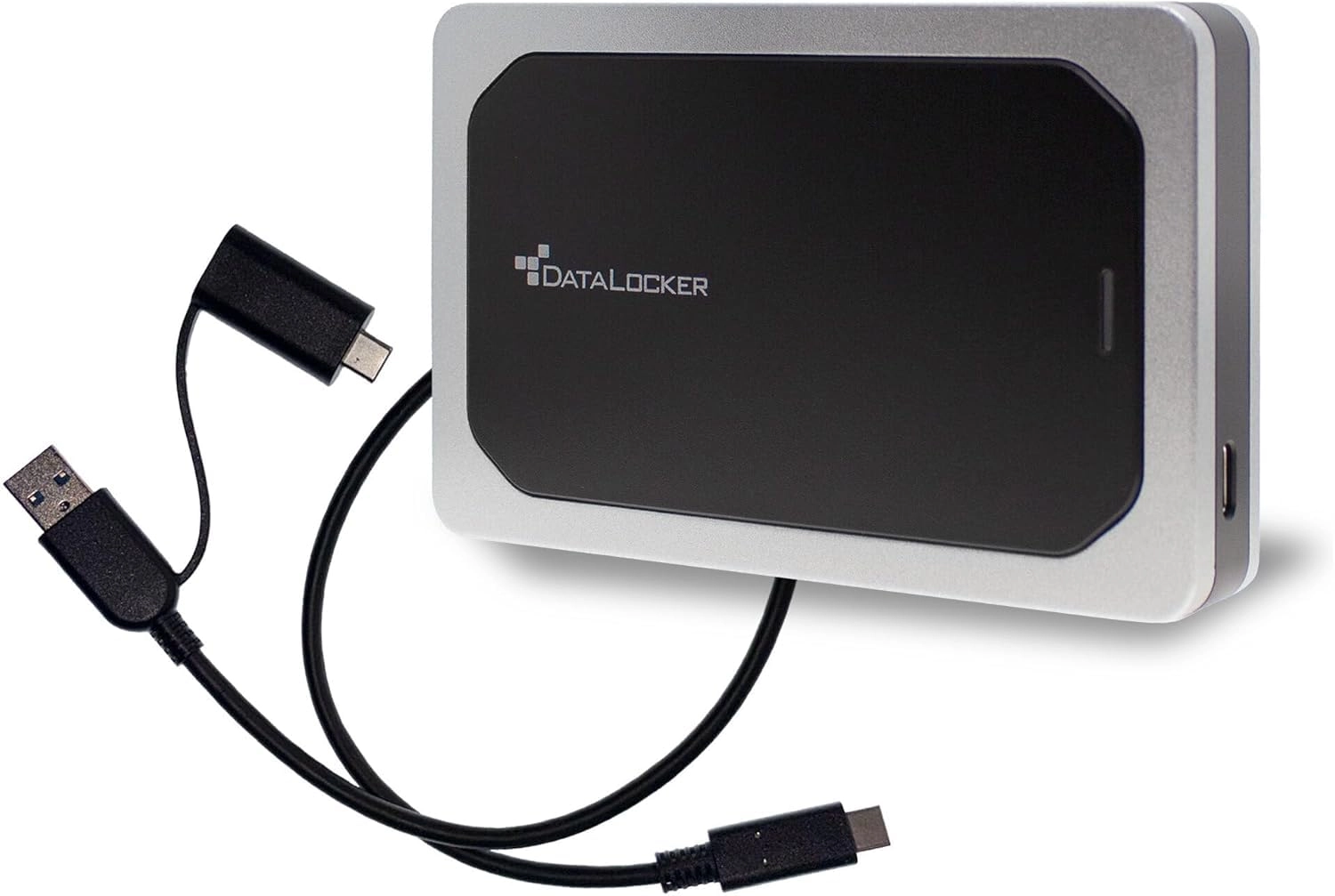 DataLocker DL4-SSD - 1000 GB