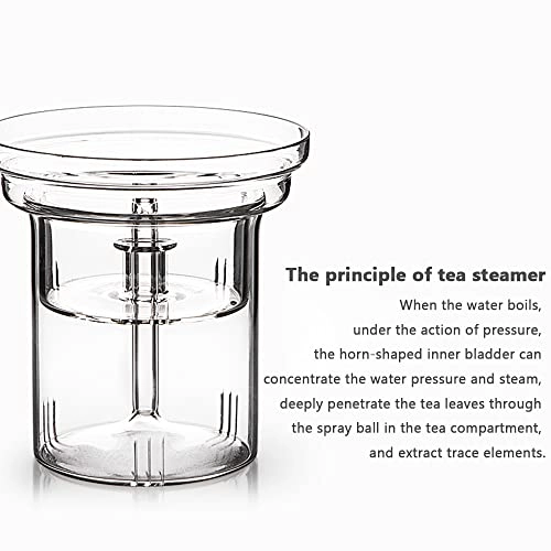 Glass Tea Boiler - high borosilicate glass|PC material 1000 milliliter