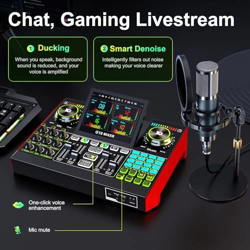 G10 + MIC(P15) 3.5mm-Mini-Jack+Wireless+USB Microphone