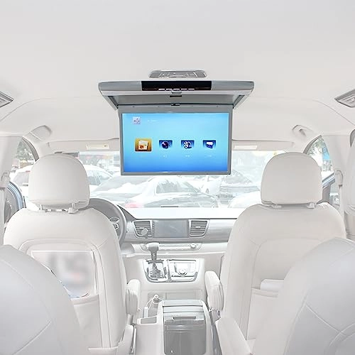 Car Video Player - 17.3 Inch