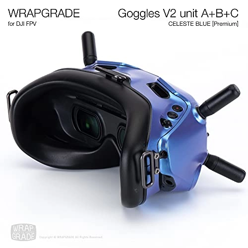 DJI FPV Goggles V2