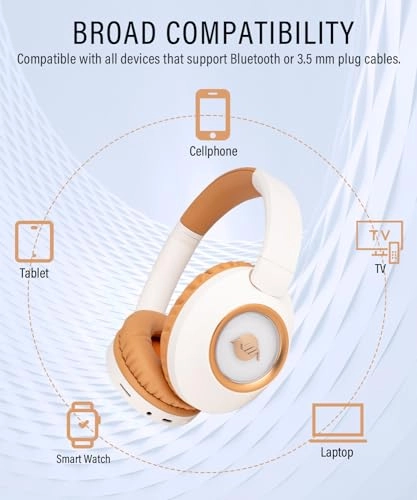 NX500 Wireless Headphone
