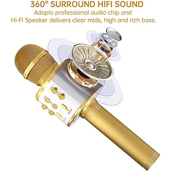 rayihni Karaoke Microphone Pack