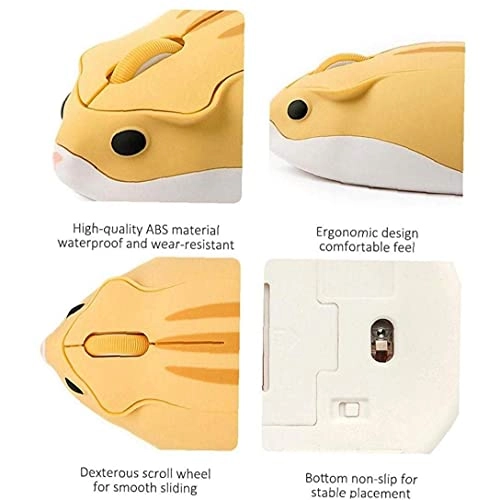 Optical Cordless Mouse - USB