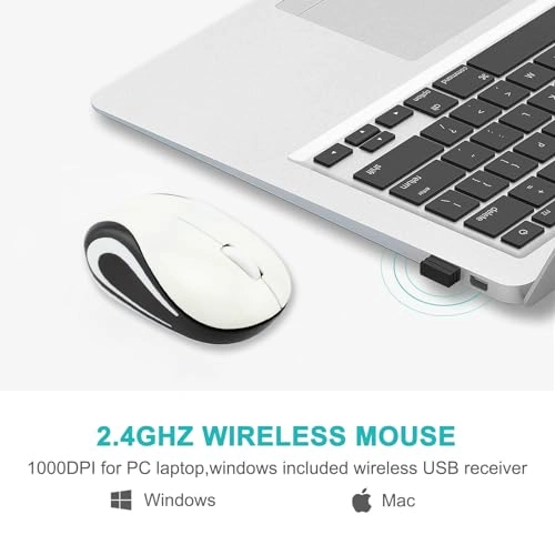 Cute Turtle Shape Mouse - USB