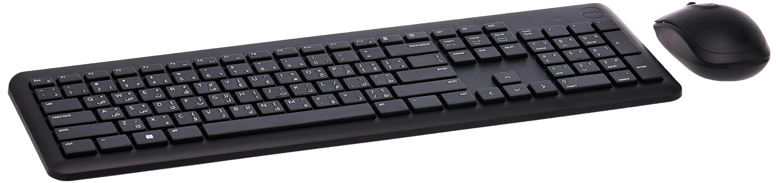 DELL 3322WL + ES1520V