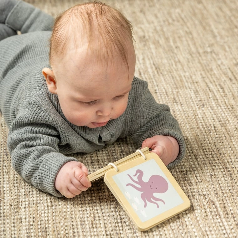 Play and Learn Box - 12-18 months old 4 piece(s)