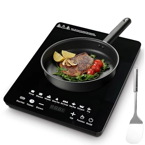 DS2562 Induction hob
