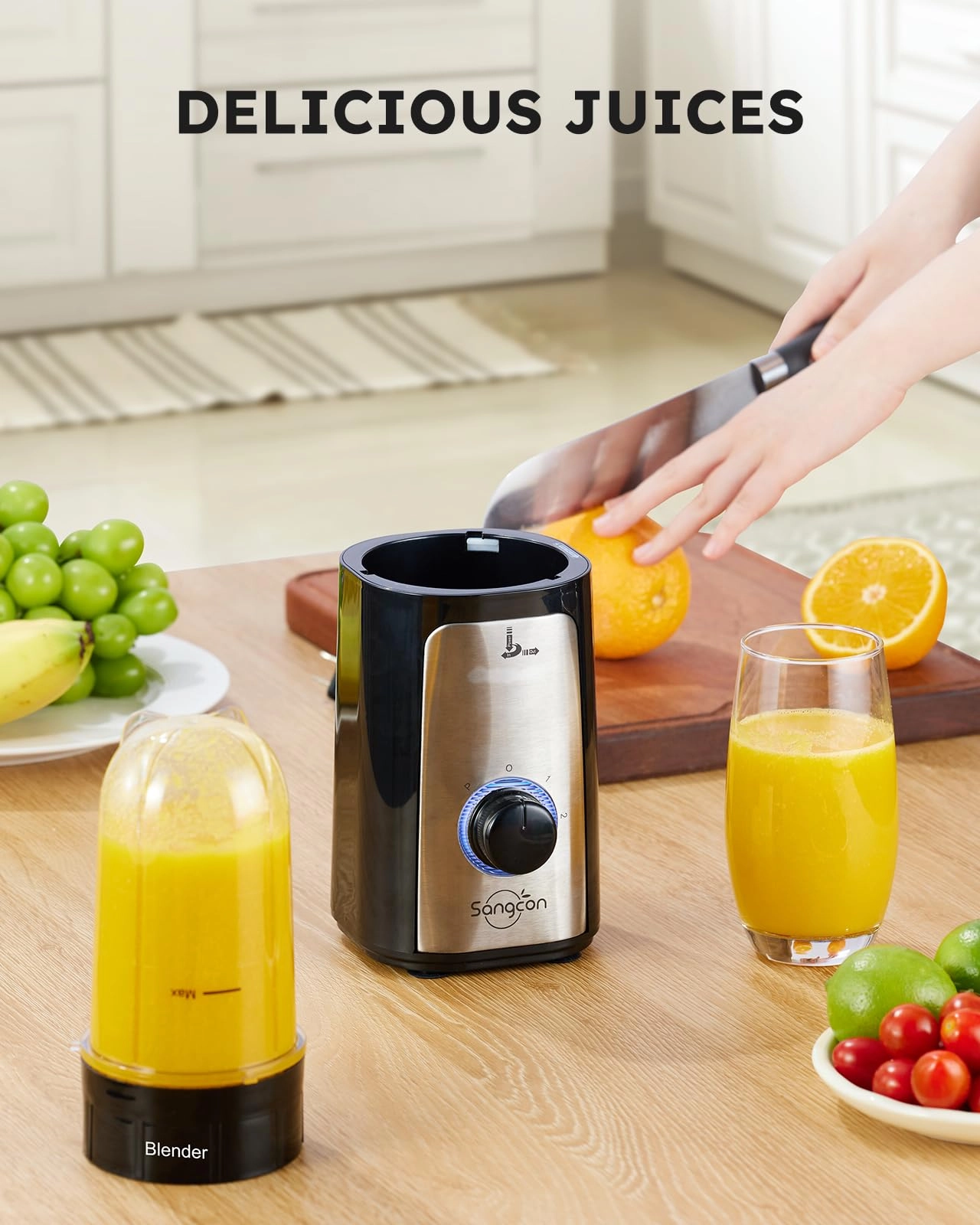 5 in 1 Blender and Food Processor Combo - 350W