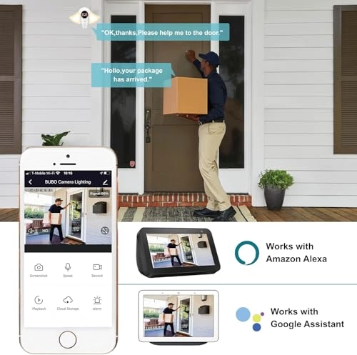 Outdoor Floodlight Camera 1080P