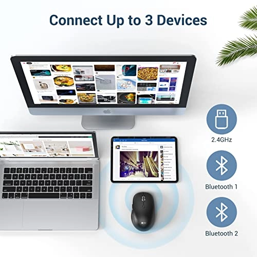 MD165 Dual Mode Wireless Mouse - Bluetooth, USB