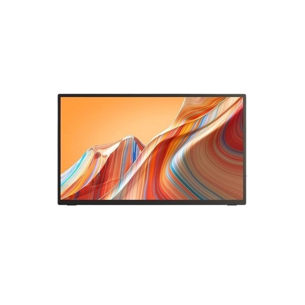 Portable Monitor - wpenshiDM125 18.5-inch 1080P