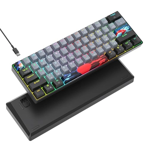 GS61 RGB-61 - US Wired