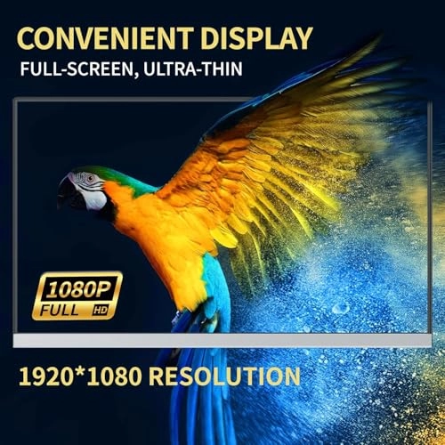 P4-2 - 15.6 inch 1920x1080