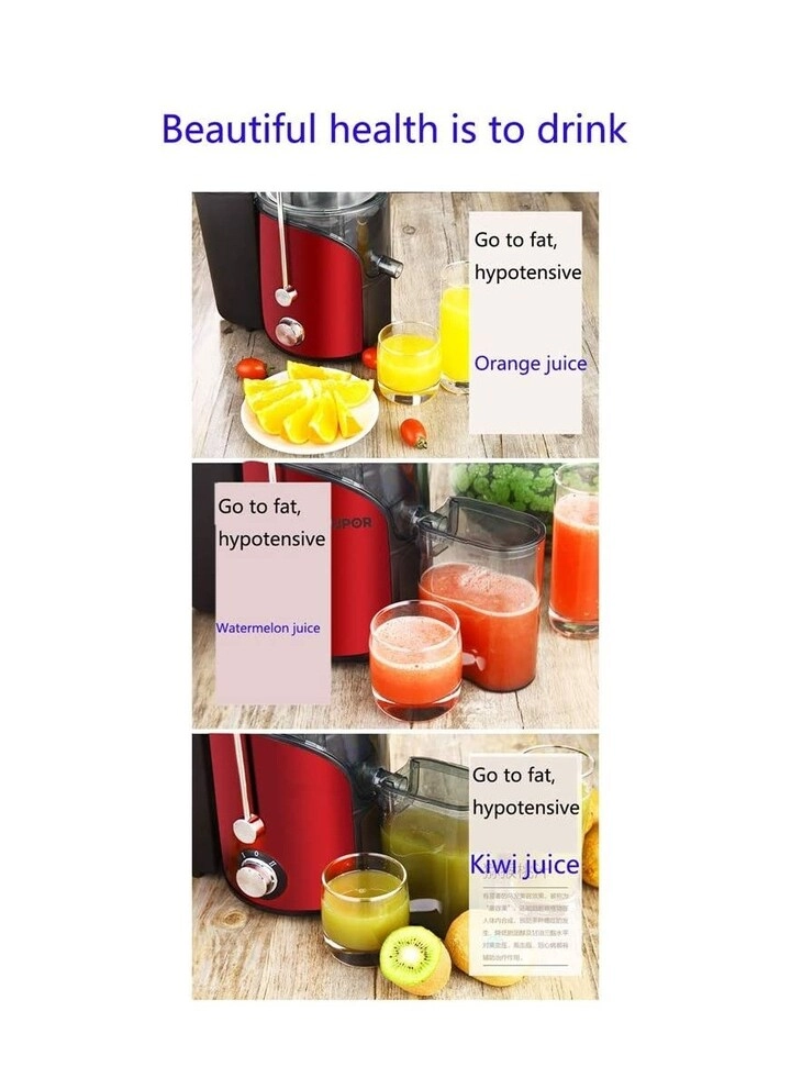 Whole Fruit Centrifugal Power Fruit and Vegetable Juicer - 800W 450ml