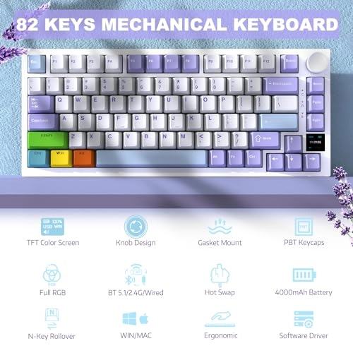 AK820PRO - EN Wired/Wireless