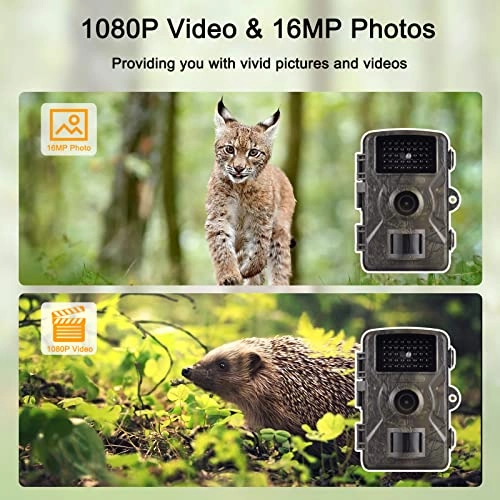Trail Camera - 16MP