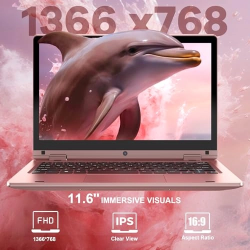 ANL5 - 11.6'' Celeron N4020 6GB DDR4 128GB SSD