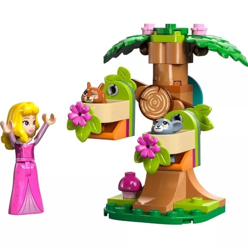 Disney Aurora's Forest Playground (30671)