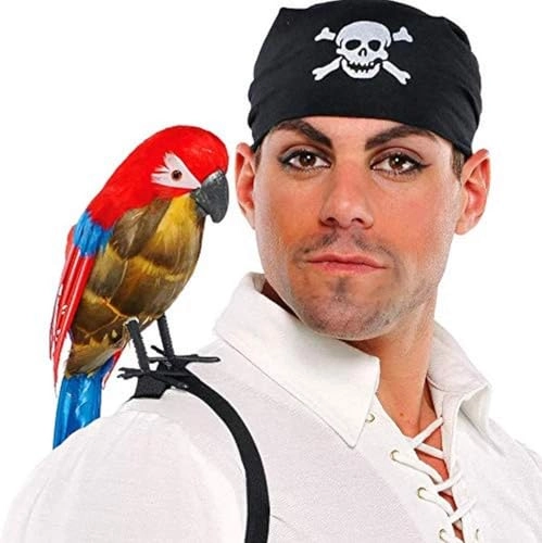 Pirate Parrot - 18.5" x 6.5" 1 Piece
