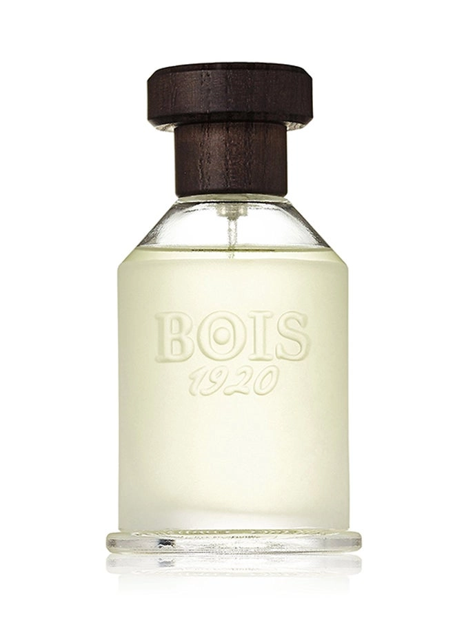 Bois 1920 Classic Eau de Toilette 100ml