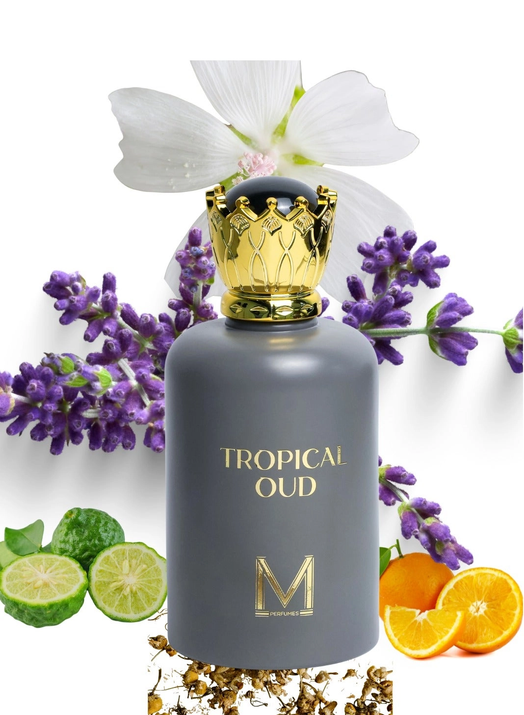 Patchouli Elixir Eau de Parfum - 100ml