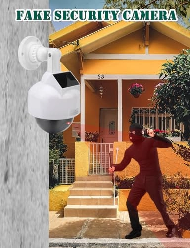 Fake Camera - Outdoor