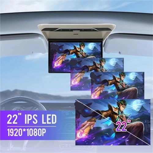Car Roof Monitor - 22 Inch