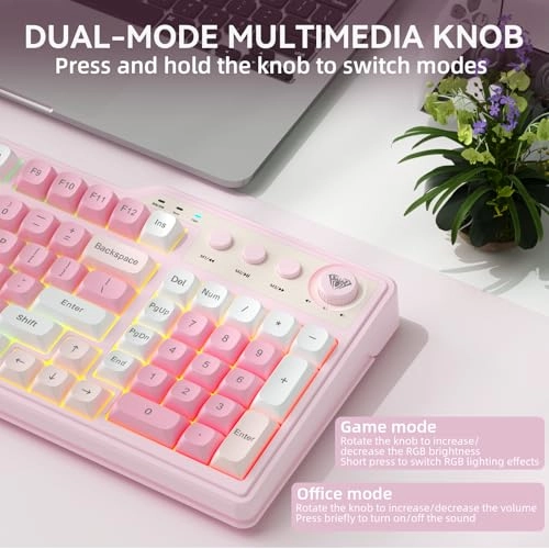 F3099 - Wired/Wireless