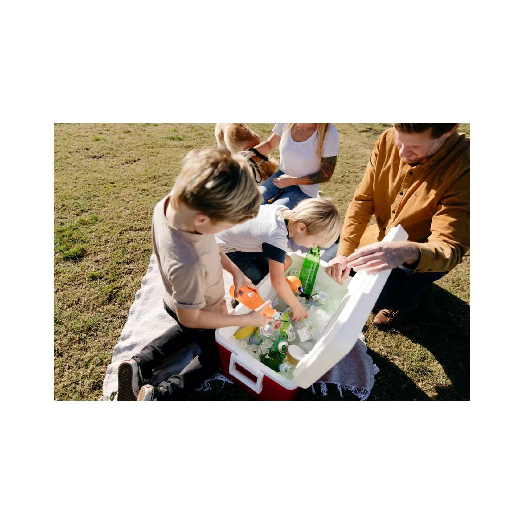 Laguna Cooler Box - 45L+4L+945ml