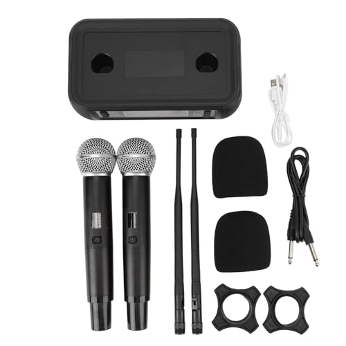 Professional Noise Reduction Handheld Microphone System USB Microphone