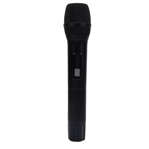 Karaoke Microphone