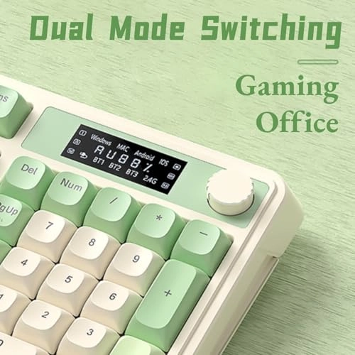 S99 Pro - Wired/Wireless