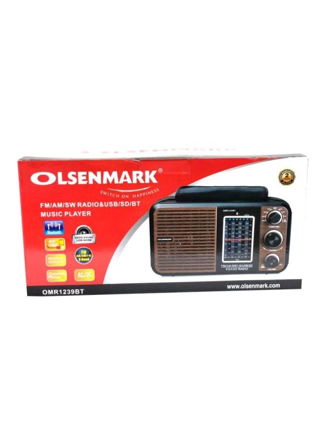 FM/AM/SW Radio & Music Player - Portable