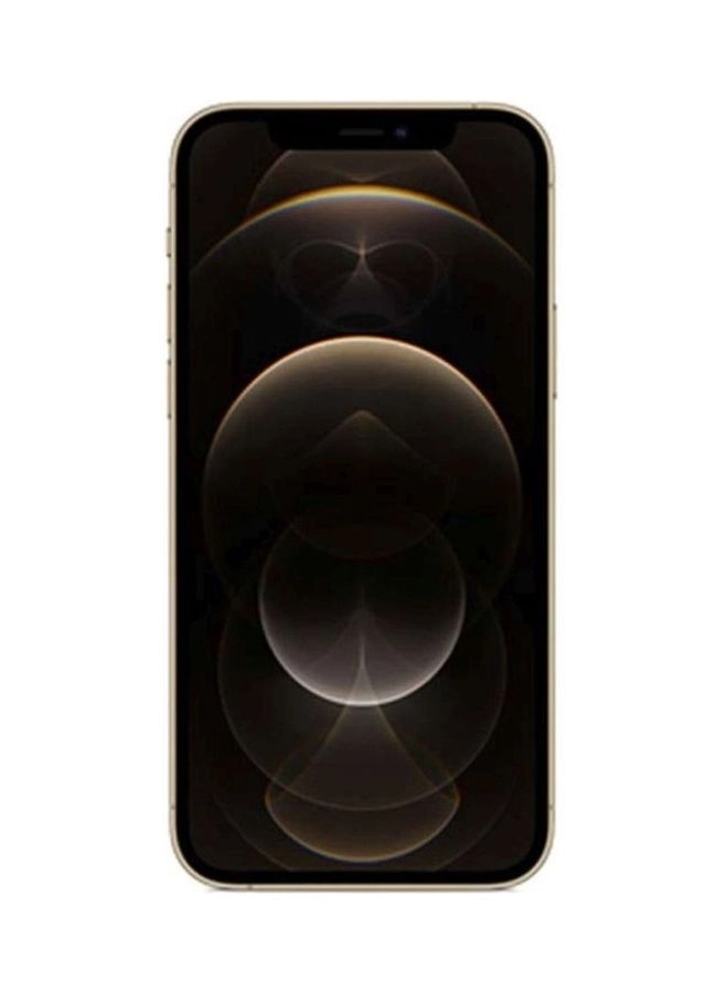 (Renewed) iPhone 12 Pro - 256GB