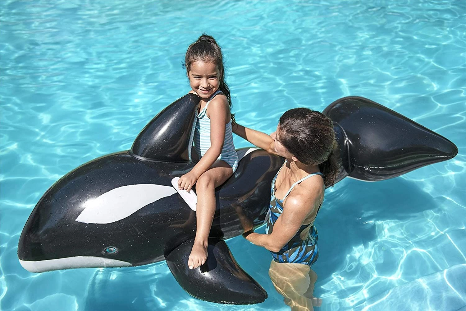 Jumbo Whale