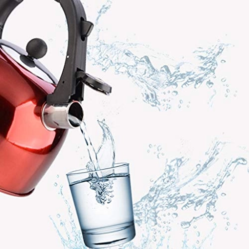 Whistling Tea Bottle Kettle - stainless steel Induction Cooker