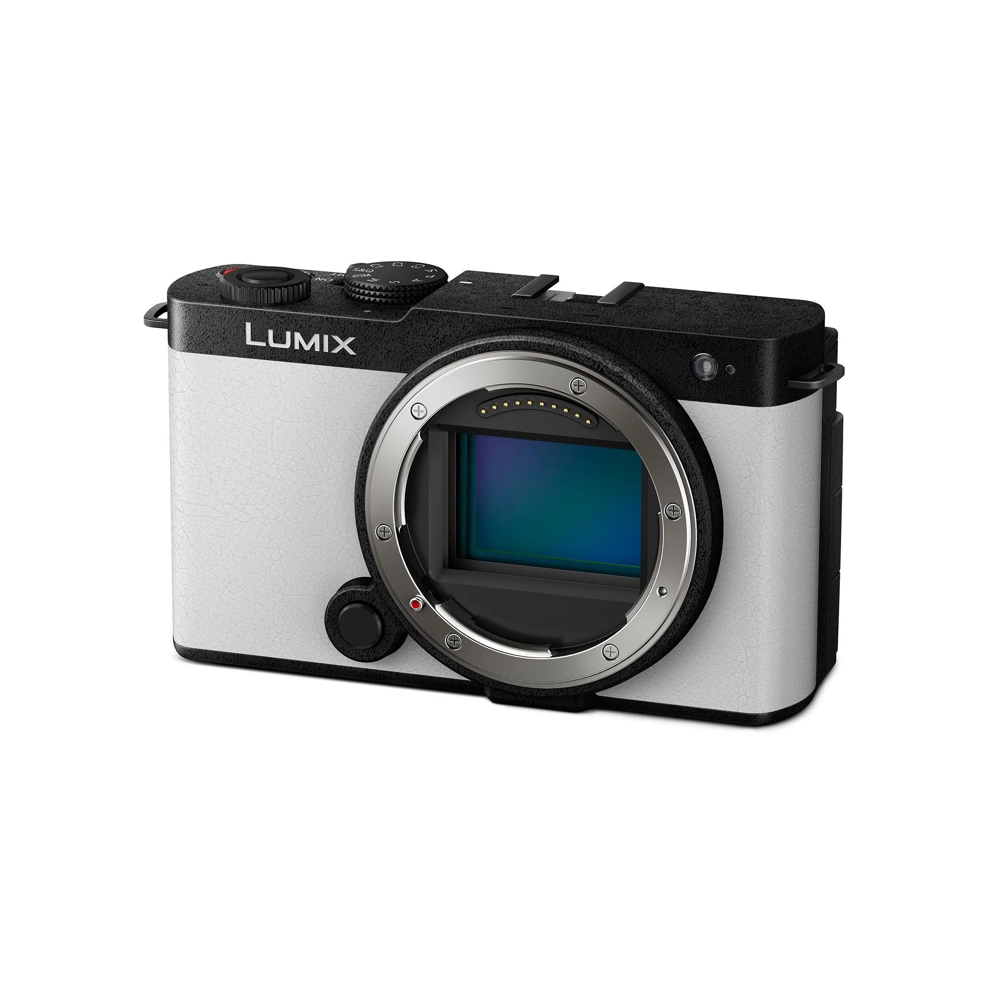 Lumix S9