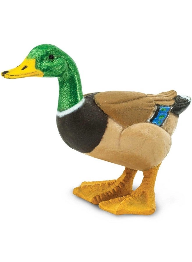 Safari Ltd Mallard Duck Figurine