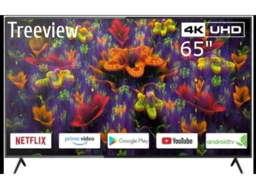 DUB6502ST - 65 Inches