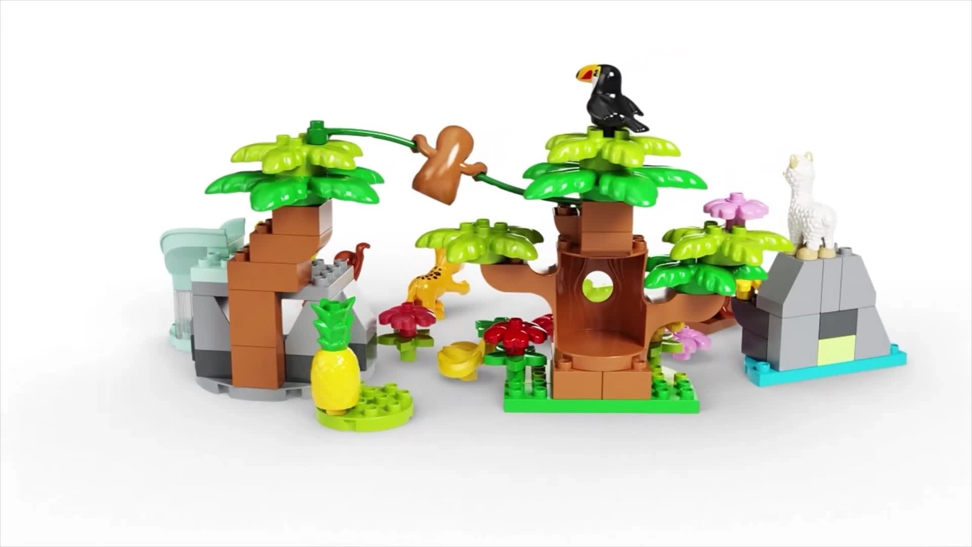 Wild Animals of South America (10973)