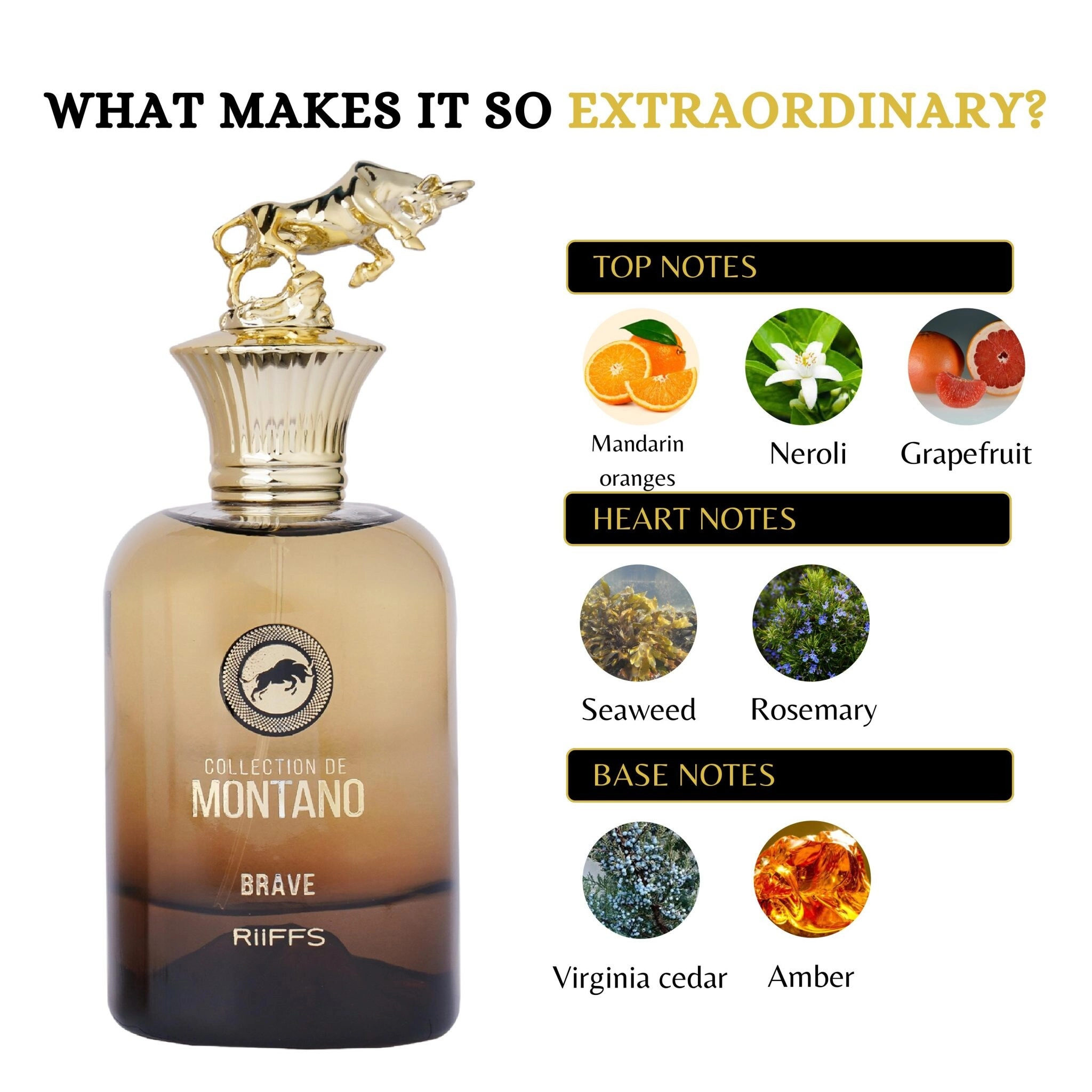 DE MONTANO BRAVE Eau de Parfum 100 ml