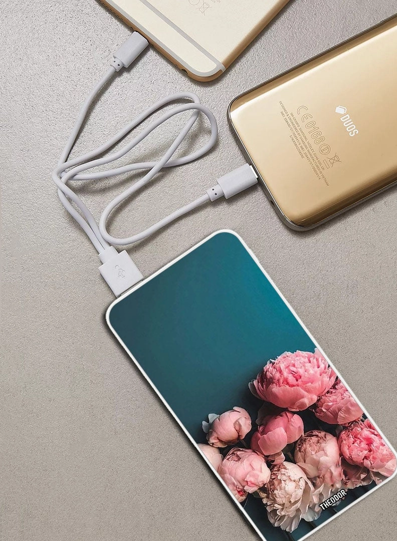 EX_PPBA183 - 10,000 mAh 18W